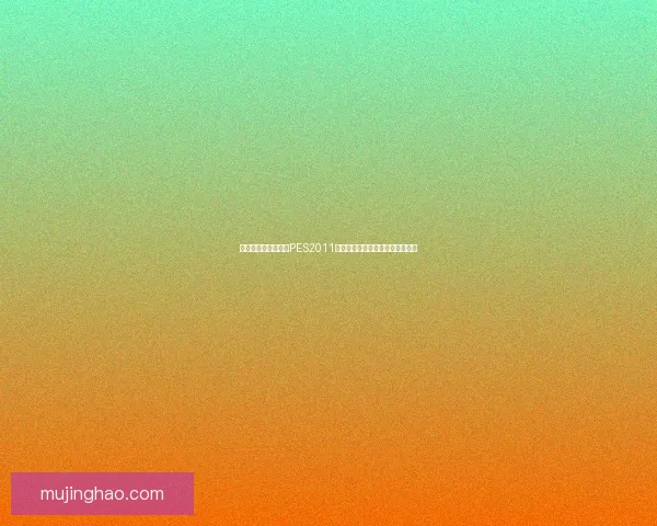 如何快速下载并安装PES2011游戏完整版本及常见问题解决方法